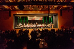 2016.11.08_Unterhaltungskonzerte_047