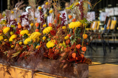 Blumen_Q34A7693_bear